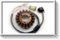Stator G266 Generator